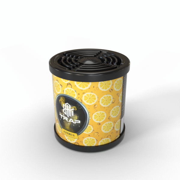 car perfume online
