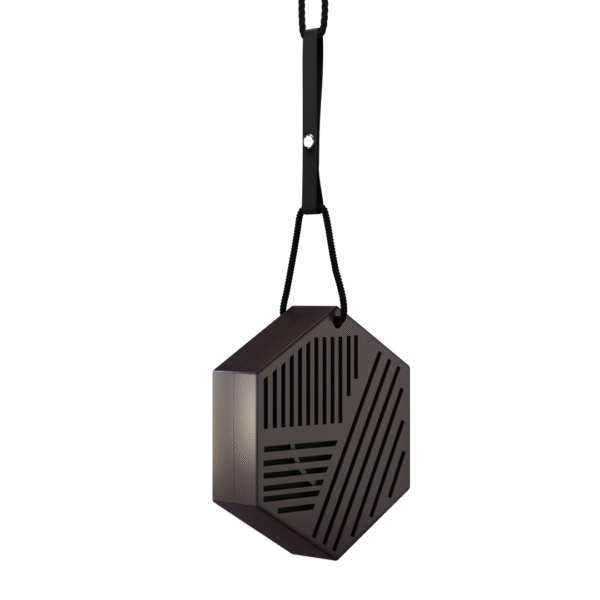 car fragrance hanging