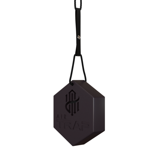 best hanging car perfume
