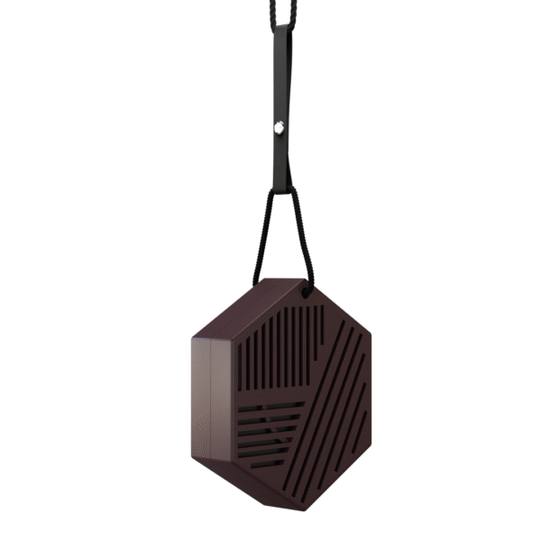 car fragrance hanging