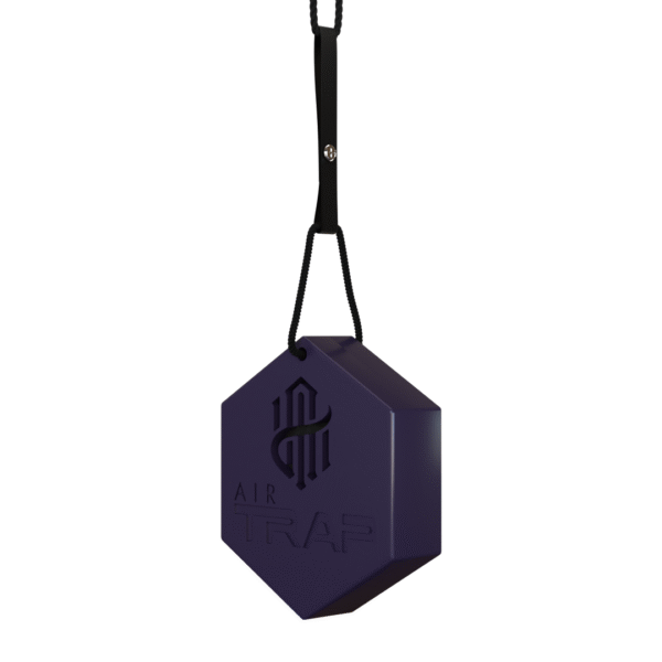 best hanging car perfume