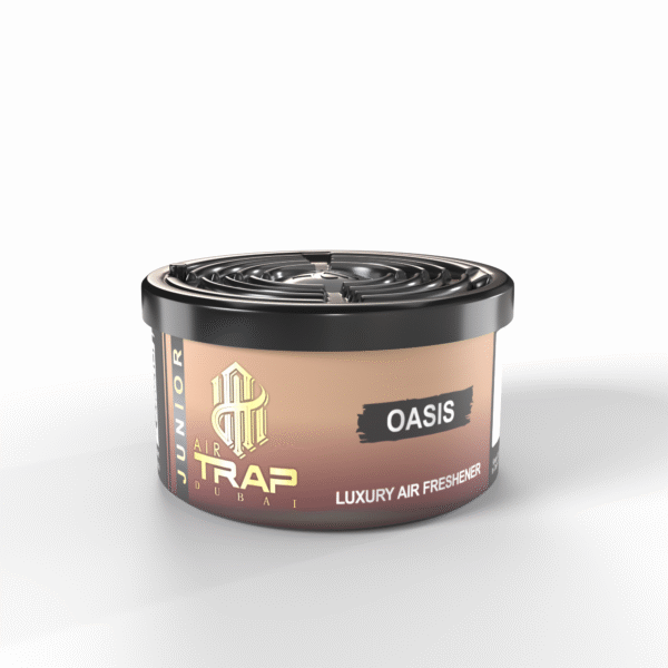 perfume gel for car