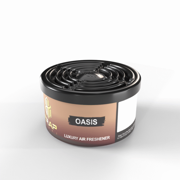 best car gel perfume