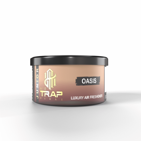 best car gel perfume